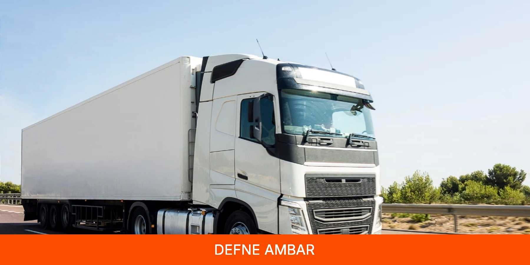 Defne Ambar